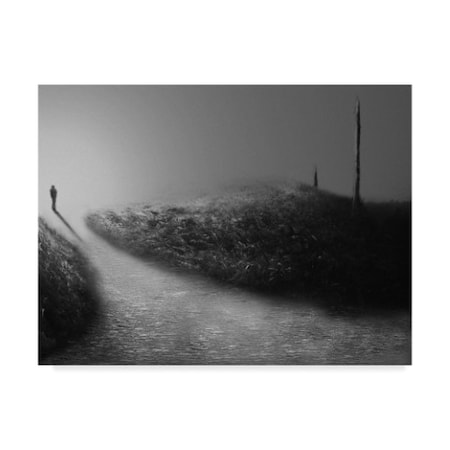 David Senechal Photographie 'Chemin Des Brumes V' Canvas Art,35x47